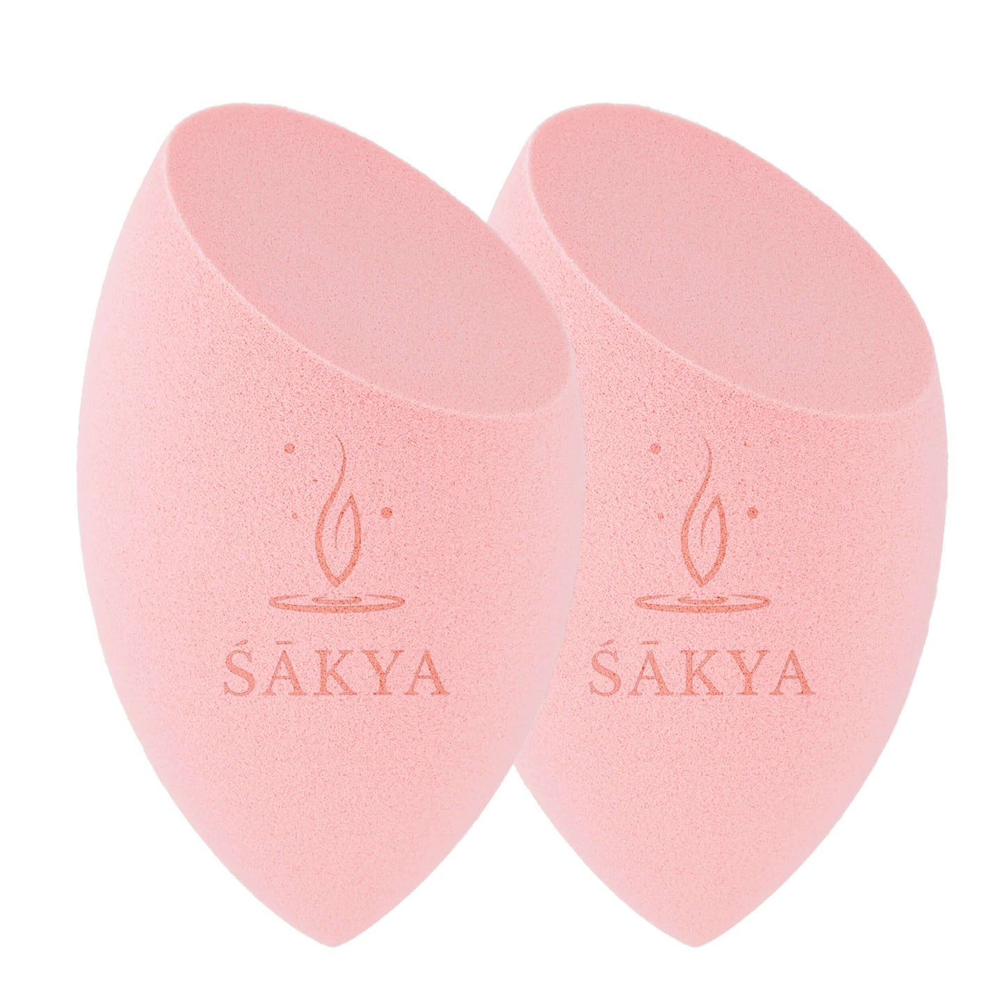 Sakya Sponges