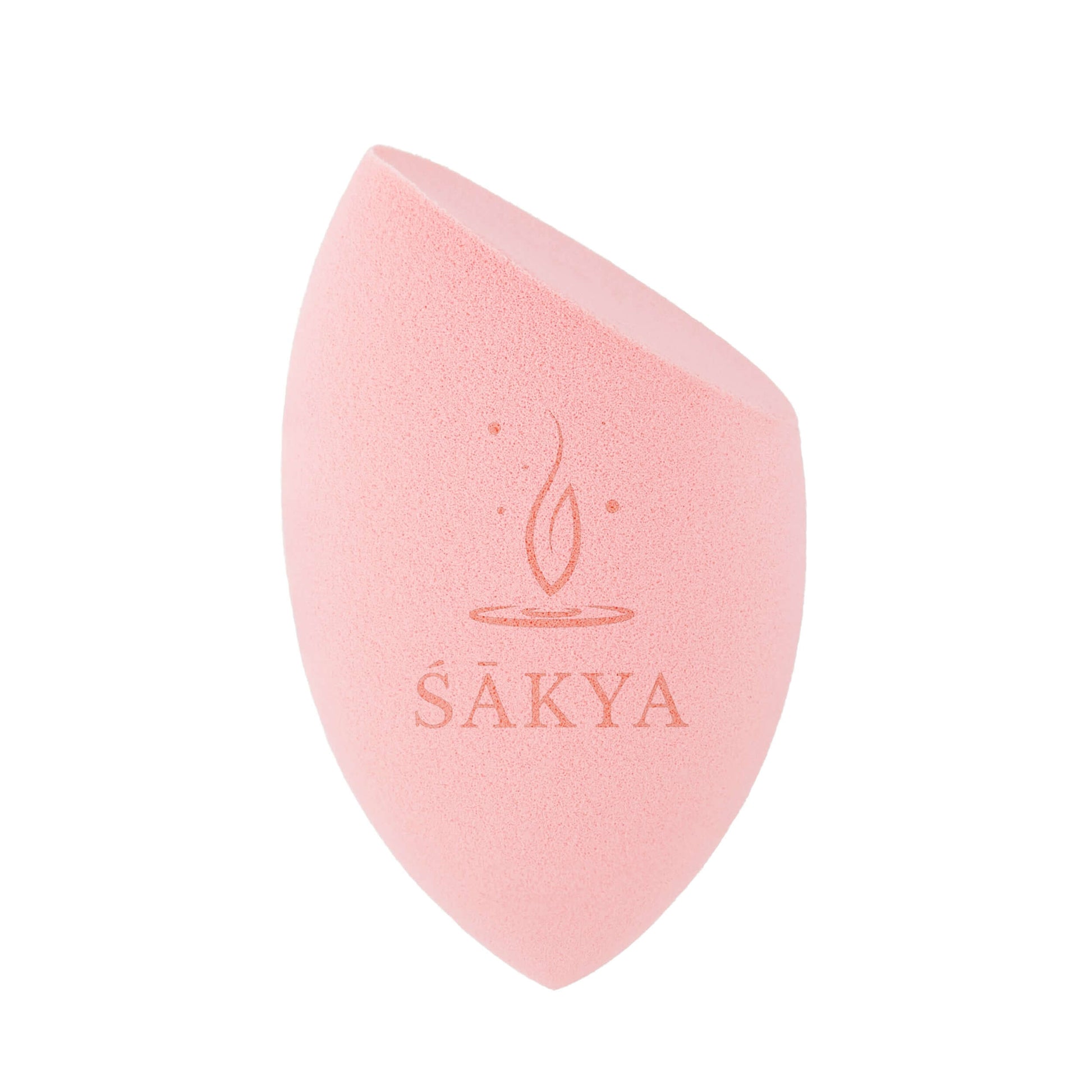 Sakya Sponges